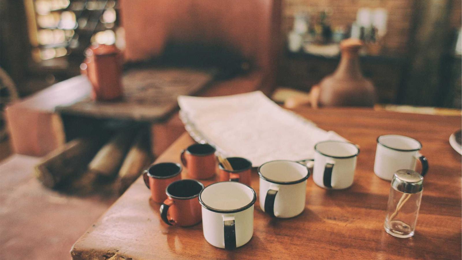 A Beginner’s Playbook for ETFs in Plain English