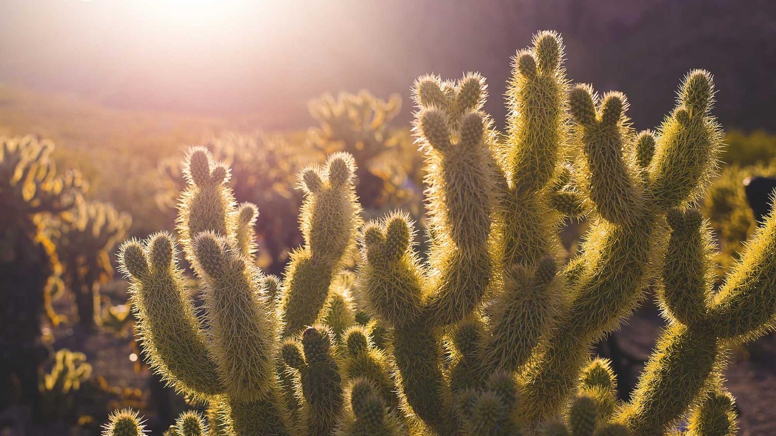 Monday Playbook: Resetting Your Cash Flow Rhythm