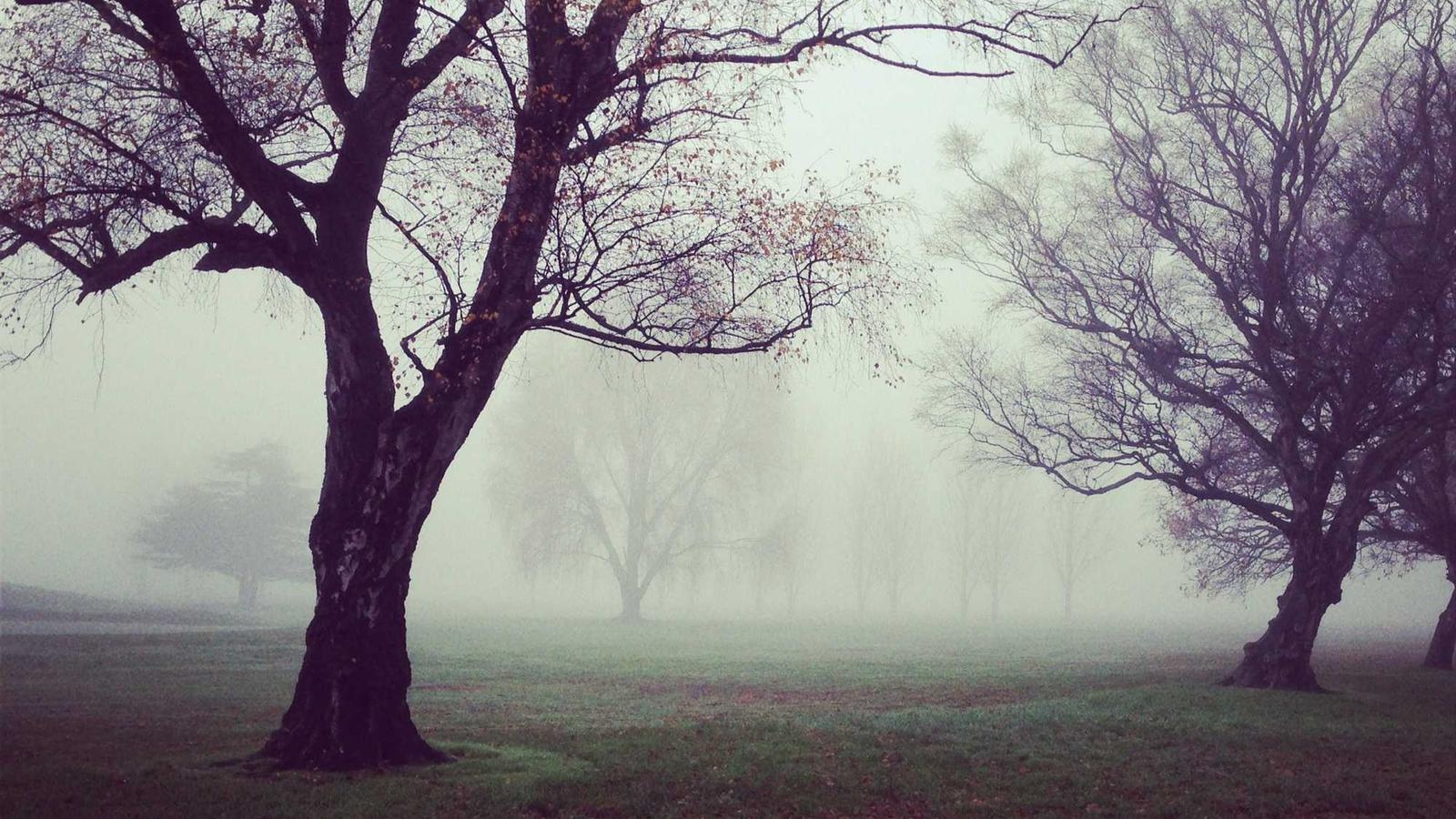 Rent vs Buy in 2025: How I Ran the Numbers