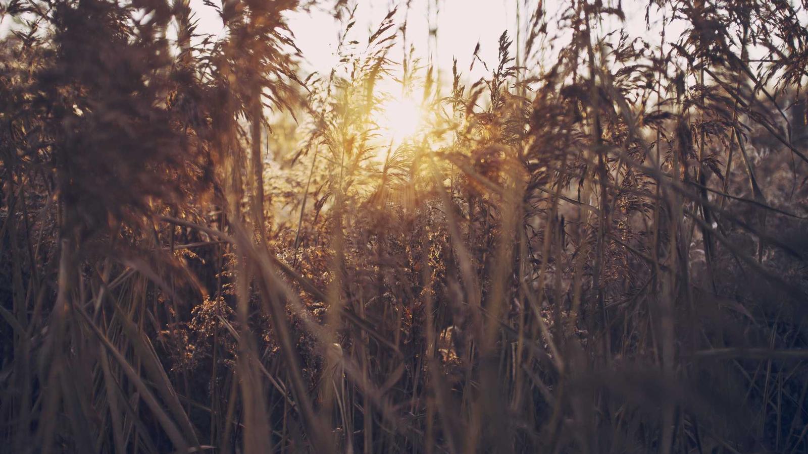 Thursday Deep Dive: Tax Moves Before Year-End