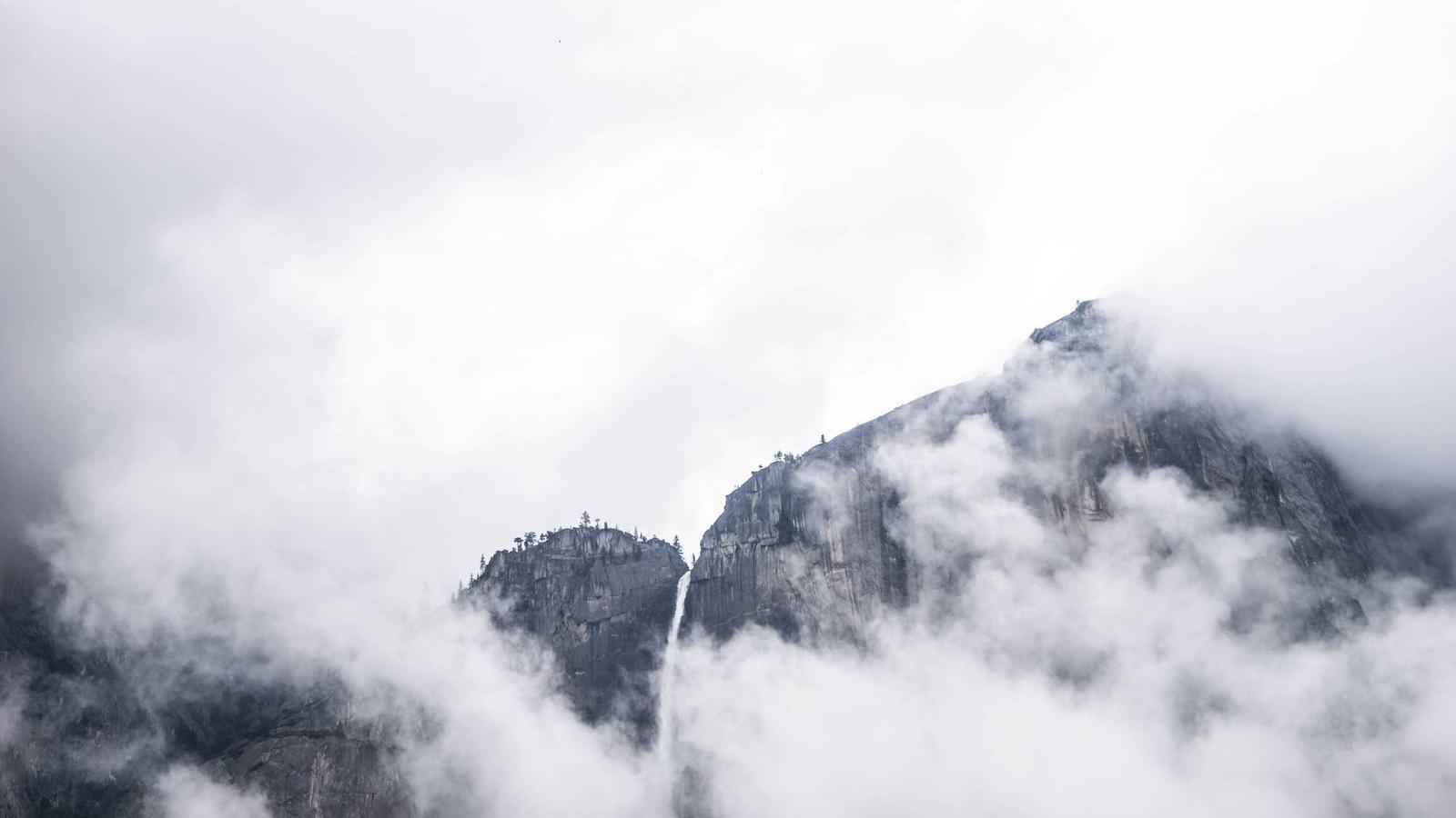 Midweek Portfolio Pulse: Rebalancing Without Drama